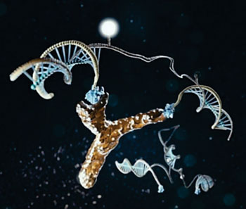 Image: The light-generating DNA antibody detecting nanomachine is illustrated here in action, bound to an antibody (Photo courtesy of Marco Tripodi).