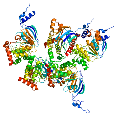 Image: Structure of the protein encoded by the CFTR gene (Photo courtesy of Wikimedia Commons).