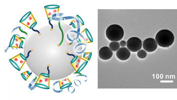 Image: A schematic illustration of the liquid-metal nano-terminators (left). The red spheres are the anticancer drug doxorubicin. A representative TEM image of the liquid-metal nano-terminators (right) (Photo courtesy of North Carolina State University).