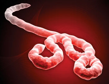 Blood Levels of Ebola Virus Are Predictive of Death