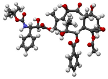 Image: Ball-and-stick model of the docetaxel molecule (Photo courtesy of Wikimedia Commons).