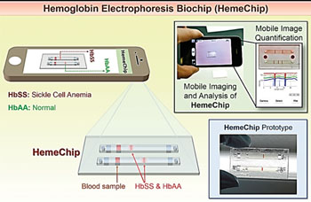 Image: The HemeChip micro-electrophoretic device that examines and identifies hemoglobins including hemoglobinopathies (Photo courtesy of Case Western Reserve University).