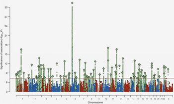 Image: Of over 100 chromosomal sites harboring known genetic risk for schizophrenia—the site in Chromosome 6 harboring the C4 gene towers far above other risk-associated areas on schizophrenia’s genomic “skyline,” marking the disease’s strongest known genetic region of influence (Photo courtesy of Psychiatric Genomics Consortium).
