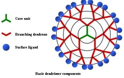 Image: Schematic diagram of dendrimer structure (Photo courtesy of the University of California, Irvine).