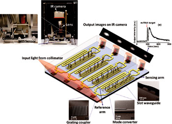 Image: Schematic diagram of the MZI biosensor system for miRNA detection. (a)TEM image of the cross section of a silicon nitride slot wave guide; SEM images of (b) a strip-slot wave guide mode converter and (c) a silicon nitride grating coupler. (d) Image of MZI biosensor platform (Photo courtesy of Agency for Science, Technology and Research).