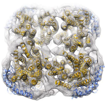Image: Schematic of a Salipro nanoparticle. This technology may offer a wide range of potential applications, from structural biology to the discovery of new pharmacological agents (Photo courtesy of Jens Frauenfeld, Karolinska Institutet).