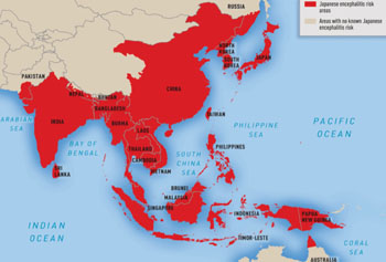 Image: The geographic distribution of Japanese encephalitis (in red) (Photo courtesy of the CDC – US Centers for Disease Control and Prevention).