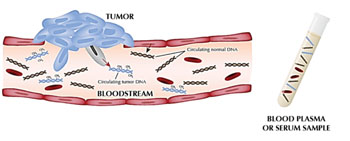 Image: Schematic diagram of circulating methylated cell free DNA (Photo courtesy of Huntsman Cancer Institute).