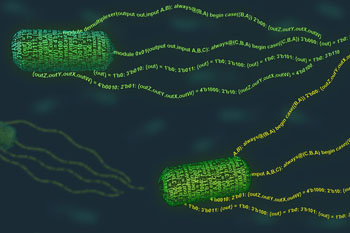Image: Using E. coli bacteria as the initial organism for development, bioengineers have devised a programming language that simplifies the process of designing and incorporating synthetic gene elements to provide living cells with new functions (Photo courtesy of Janet Iwasa and MIT).
