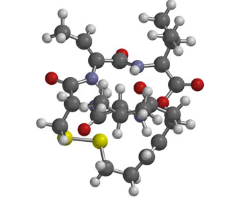 Image: Ball-and-spoke three-dimensional model image of the anticancer drug romidepsin (Photo courtesy of Wikimedia Commons).
