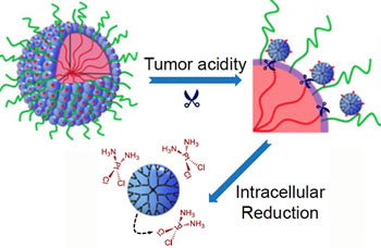 Image: The particles start out relatively large (about 100 nanometers) to enable smooth transport into the tumor through leaky blood vessels. Then, in acidic conditions found close to tumors, the particles discharge “bomblets” just five nanometers in size. Inside tumor cells, a second chemical step activates the platinum-based drug cisplatin (Photo courtesy of Emory University).