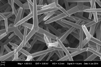 Image: A scanning electron microscope (SEM) image showing zinc oxide tetrapod nanoparticles (ZOTEN) (Photo courtesy of Dr. Deepak Shukla, University of Illinois).
