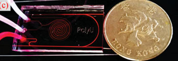 Image: The lab-on-a-chip device integrates a fiber optic biosensor with a microfluidic chip and detects glucose levels from droplets of sweat. It is shown here next to a Hong Kong dollar, which is the same size as the USD coin (Photo courtesy of Dr. A. Ping Zhang).