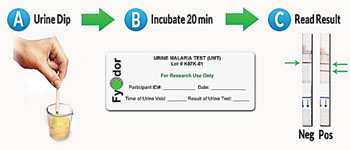 Image: The Urine Malaria Test, an immunochromatographic lateral flow assay (Photo courtesy of Fyodor Biotechnologies).