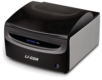 Image: The Odyssey CLx scanner for Western Blot analysis (Photo courtesy of LiCor).