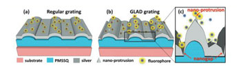Image: The diagram shows the difference between regular and plasmonic gratings in terms of fluorescent intensity (Photo courtesy of Dr. Shubhra Gangopadhyay, University of Missouri).