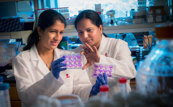 Image: Teneema Kuriakose, Ph.D., a postdoctoral research associate, and Thirumala-Devi Kanneganti, Ph.D. Immunologists have identified the protein trigger in the body’s quick-reaction innate immune system that specifically recognizes the influenza virus in infected cells and triggers their death (Photo courtesy of St. Jude Children’s Research Hospital).