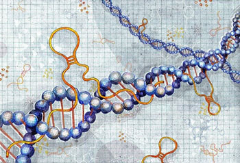 Image: An illustration of long non-coding RNAs (Photo courtesy of Julia Yellow).