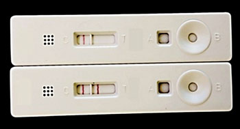 Иммунохроматографический анализ на тест-полосках: результаты иммунохроматографического анализа на тест-полосках, выполненного с положительным (слева) и отрицательным (справа) контрольным образцом сыворотки крови (фото любезно предоставлено IHRC).