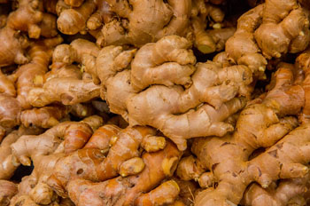 Image: Ginger is the source of a novel class of nanolipid transport vector (Photo courtesy of Georgia State University).