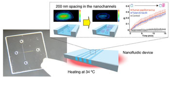 Image: A photo and a schematic illustration for a nanofluidic diffraction grating. Label-free signals based on a diffraction intensity change were attributed to amplification of DNA molecules, such as human papillomavirus and tubercle bacilli (Photo courtesy of Takao Yasui, Nagoya University).