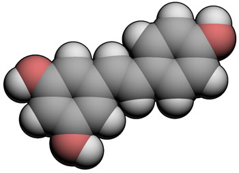 Image: A three-dimensional (3D) molecular space-filling model of resveratrol (Photo courtesy of Wikimedia Commons).