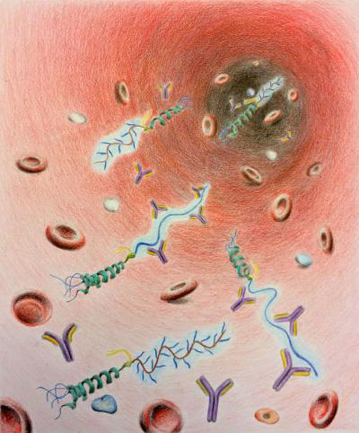 Image: An artist’s rendering that depicts troublesome antibodies (purple Ys) attacking conventional PEGylated drugs while ignoring the modified version (Photo courtesy of Stacey Qi, Duke University).