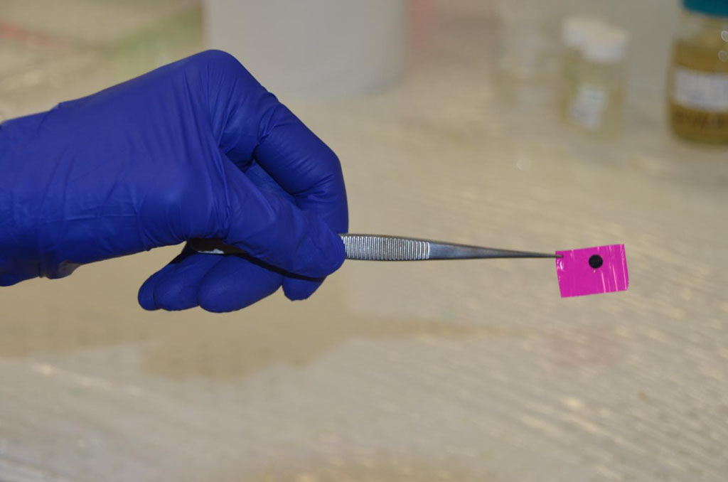 Image: A flexible polymer patch, which improves the conduction of electrical impulses across damaged heart tissue in animals, can be attached to the heart without the need for stitches (Photo courtesy of the University of New South Wales).