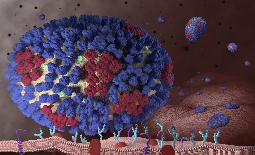 Image: An artist\'s conception illustrating the early stages of an influenza infection and showing what happens after the influenza viruses enter the human body (Photo courtesy of the CDC).