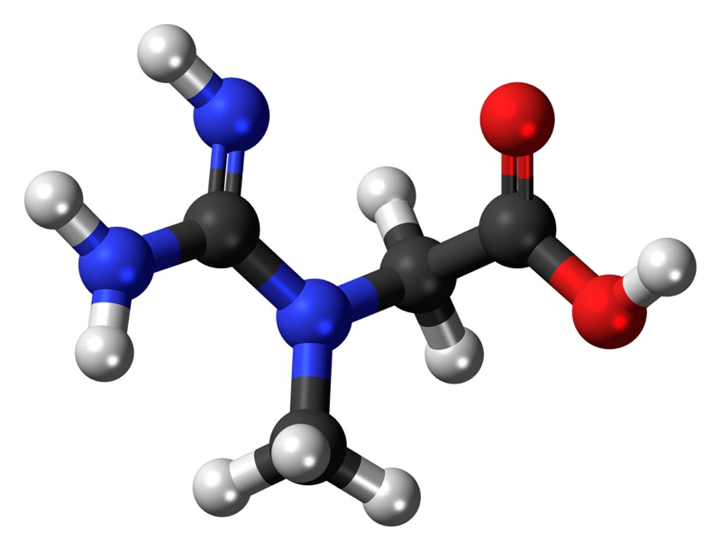 Image: A ball and stick model of creatine (Photo courtesy of Wikimedia Commons).