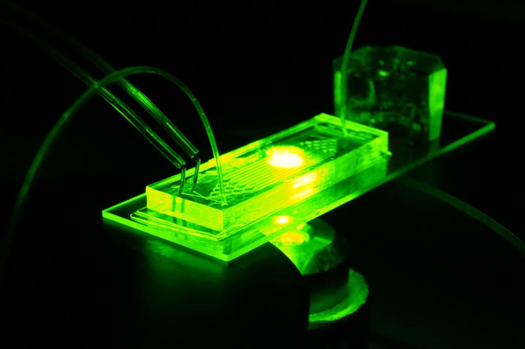 Image: The organ-on-a-chip platform seeks to recapitulate the complex microenvironment of blood vessels using miniaturized microfluidic devices (Photo courtesy of Joao Ribas, Brigham and Women\'s Hospital).