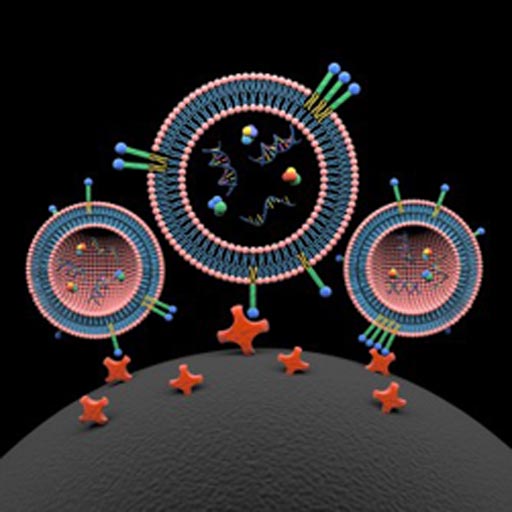 Image: Lipid nanoprobes (blue, green, and yellow colored) spontaneously insert themselves into lipid bilayer of three extracellular vesicles. The cargo content of extracellular vesicles includes proteins, DNA, and RNA. The lipid nanoprobe-labeled extracellular vesicles are captured onto the surface of a magnetic bead (black, bottom) through interaction with conjugated avidin molecules (red) (Photo courtesy of Xin Zou / Pennsylvania State University).