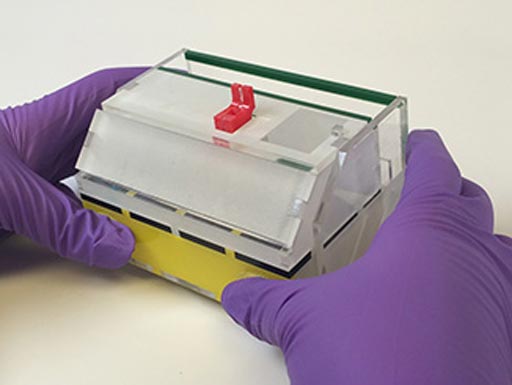 Image: Scientists are developing a disposable, POC flu detector that yields visible results in about 35 minutes (Photo courtesy of the American Chemical Society).