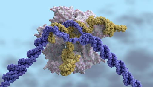 Image: Gene editing technologies, including CRISPR/Cas9, offer the ability to directly modify or correct the underlying disease-associated changes in our genome (Photo courtesy of CRISPR Therapeutics).