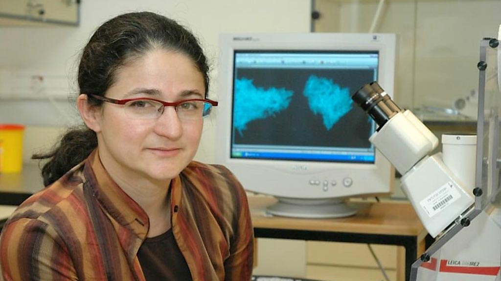 Image: Researchers including Nathalie Balaban (pictured), claim to have found a simple method for measuring a bacteria’s tolerance (Photo courtesy of The Hebrew University).
