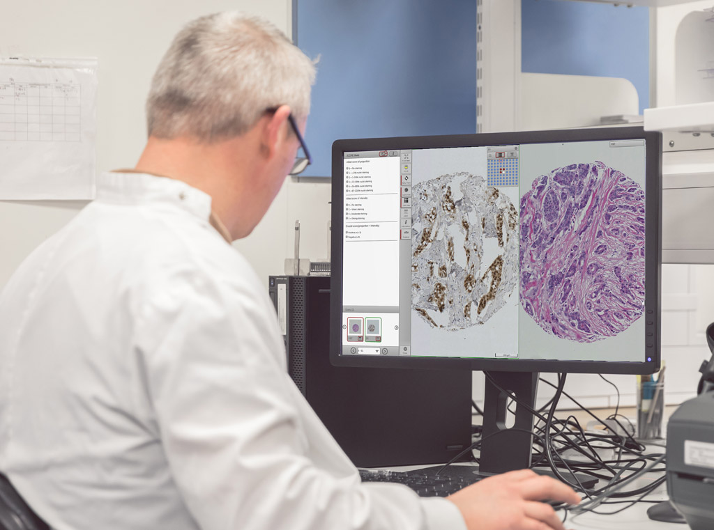 Image: The web-based Xplore system will allow for enhanced sharing of pathology and tissue images (Photo courtesy of Philips Healthcare).