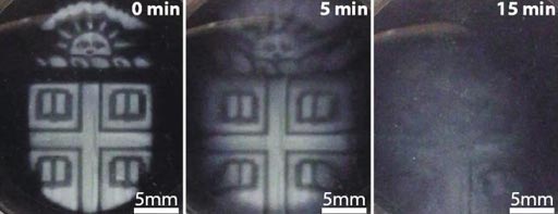 Image: A modified three-dimensional printing technique was used to create temporary microstructures that could be degraded on demand using a biocompatible chemical trigger (Photo courtesy of the Wong Laboratory, Brown University).