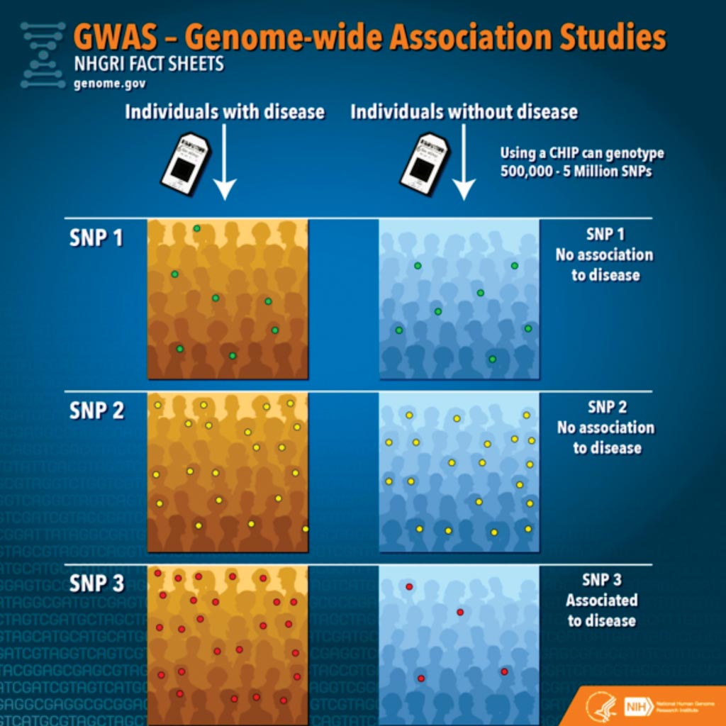 Image: The Genome-wide Association Studies fact sheet (Photo courtesy of the National Human Genome Research Institute).