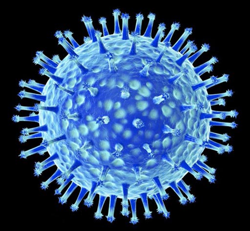 图片：禽流感H5N1菌株的直观表达（照片由Matthias Kulka/Corbis提供）。
