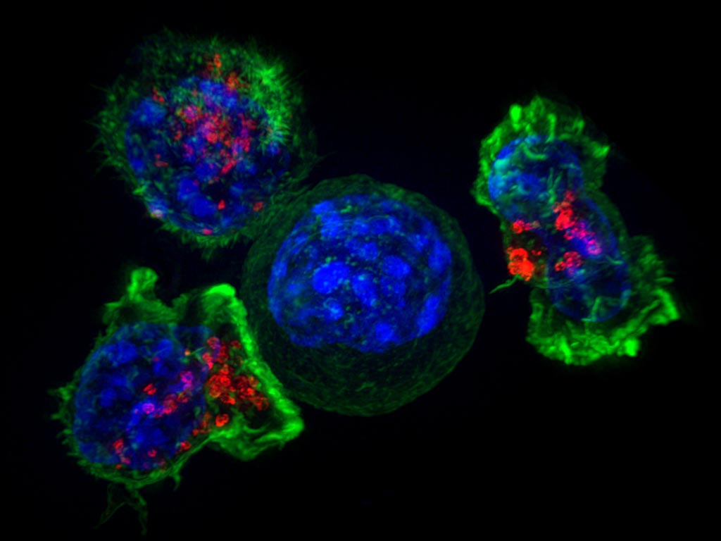 Image: Three T-cells surround a cancer cell. New drugs, such as immune checkpoint inhibitors, can help the immune system attack cancer, but the drugs’ effectiveness depends on the patient’s genetic makeup (Photo courtesy of the U.S. National Institutes of Health).