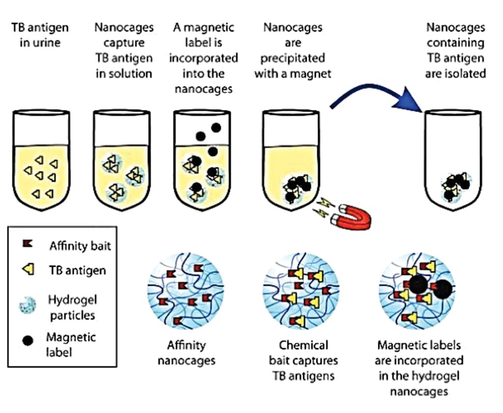 Image: A diagram depicting high internal/external surface area ratio and binding capacity of nanocages. Affinity ligands covalently immobilized in the inner volume establish high-affinity noncovalent interaction with tuberculosis (TB) antigens (Photo courtesy of George Mason University).