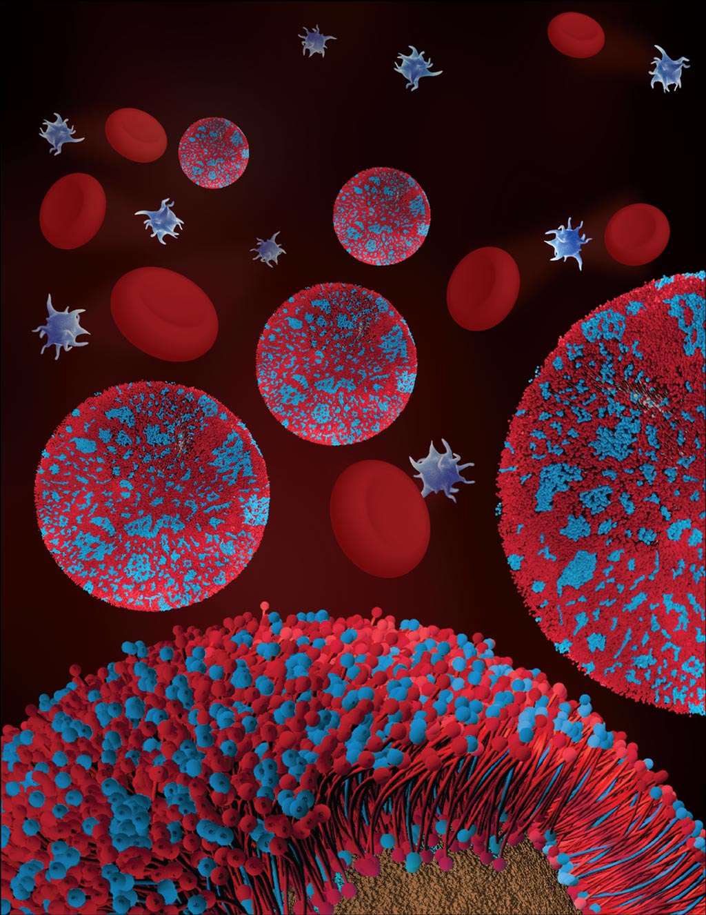 Image: An artist illustration of nanoparticles coated with macrophage cell membranes (Photo courtesy of Nanomaterials & Nanomedicine Laboratory, University of California, San Diego).
