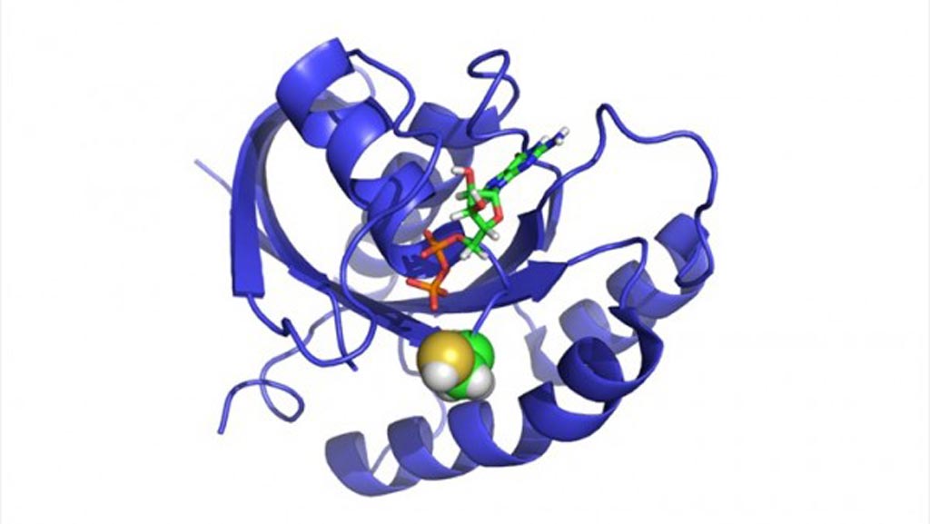Image: The crystal Structure of K-Ras G12C (Photo courtesy of the Yale Cancer Center).