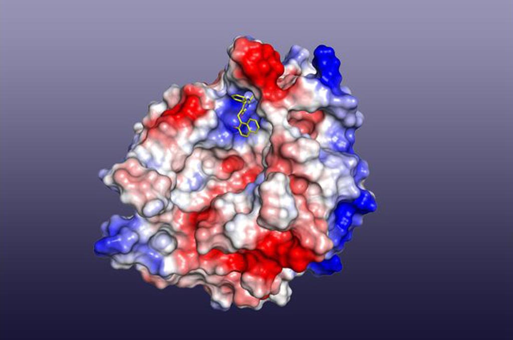 Image: A model of cambinol (small yellow structure near top center) binding to nSMAse2 enzyme (Photo courtesy of Kanagasabai Vadive, University of California, Los Angeles).
