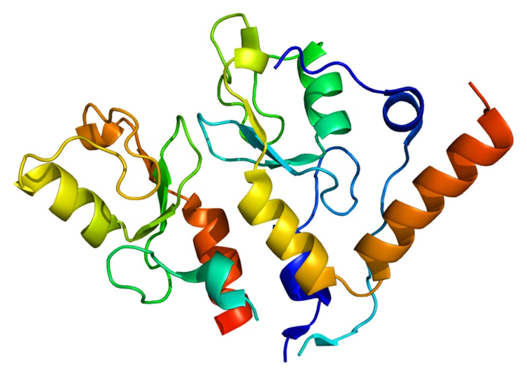 Image: The structure of the BMI1 (B lymphoma Mo-MLV insertion region 1 homolog) protein (Photo courtesy of Wikimedia Commons).