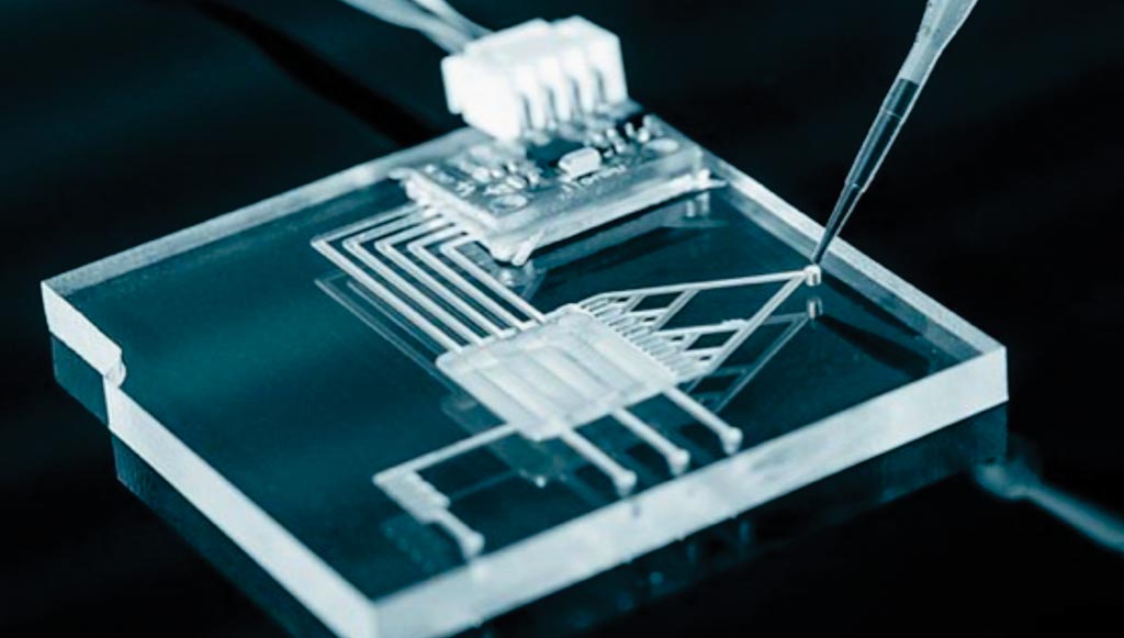 图片：日前开发成功的检测蛋白质的微流控芯片（图片蒙国立中正大学惠赐）。
