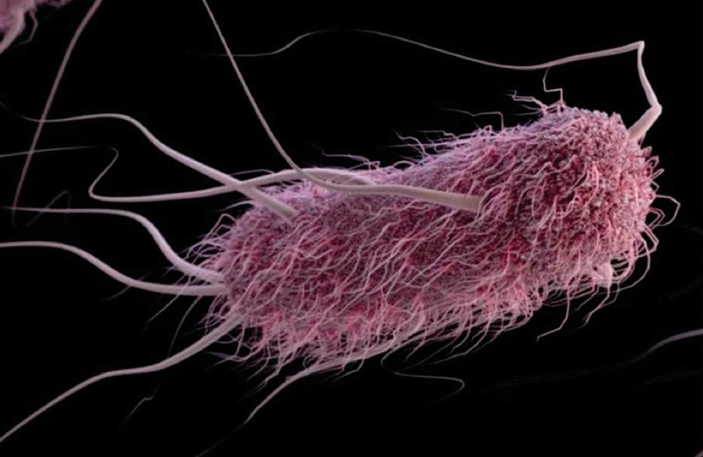 Компьютерное изображение E. coli (фото любезно предоставлено Алисой Эккерт (Alissa Eckert) и Дженнифер Остхуйзен (Jennifer Oosthuizen)/Центр по контролю и профилактике заболеваний).