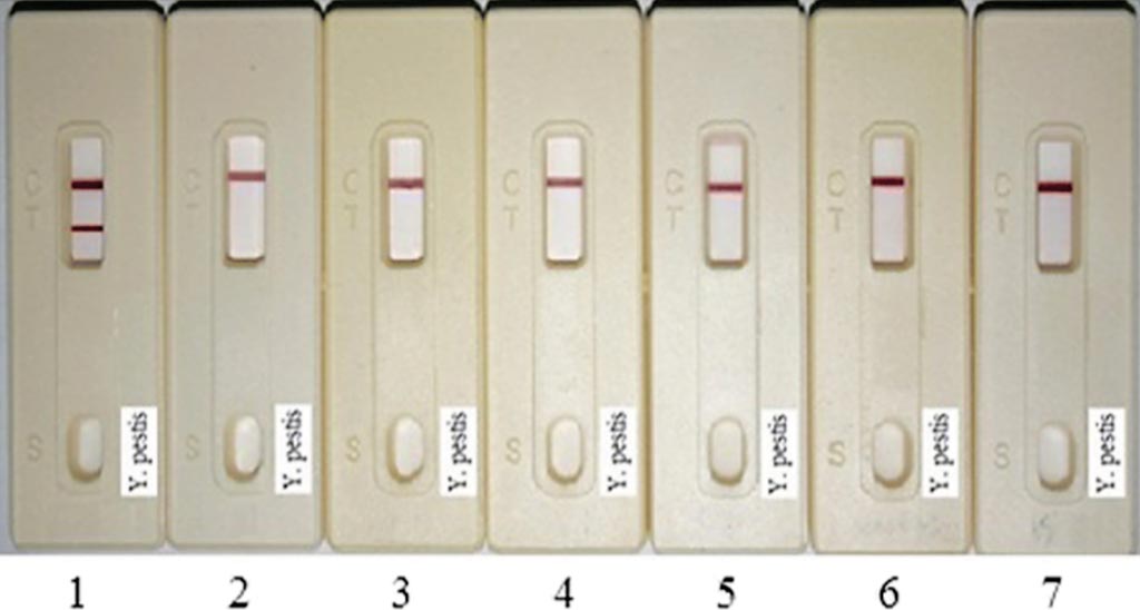Image: Specificity assay of Yersinia F1-strips. Six Yersinia strains (105 CFU/mL each) were applied on Yersinia-F1-strips. Strip 1: Y. pestis yreka; 2: Y. mollaretii; 3: Y. frederiksenii; 4: Y. pseudotuberculosis; 5: Y. enterocolitica; 6: Y. intermedia; 7: PCB buffer (Photo courtesy of National Defense Medical Center).