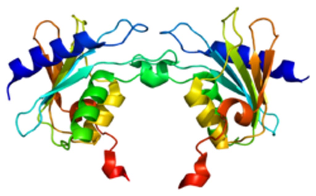Image: A model of the cytidine deaminase enzyme, which is a component of the single-base gene-editing system (Photo courtesy of Wikimedia Commons).