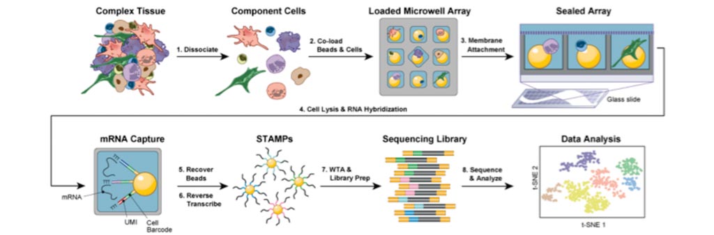 Image: Diagram of the Seq-Well low-cost platform for single-cell RNA sequencing (Photo courtesy of Shalek Lab).